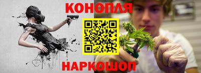 гидропоника Тара