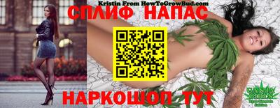 гидропоника Тара