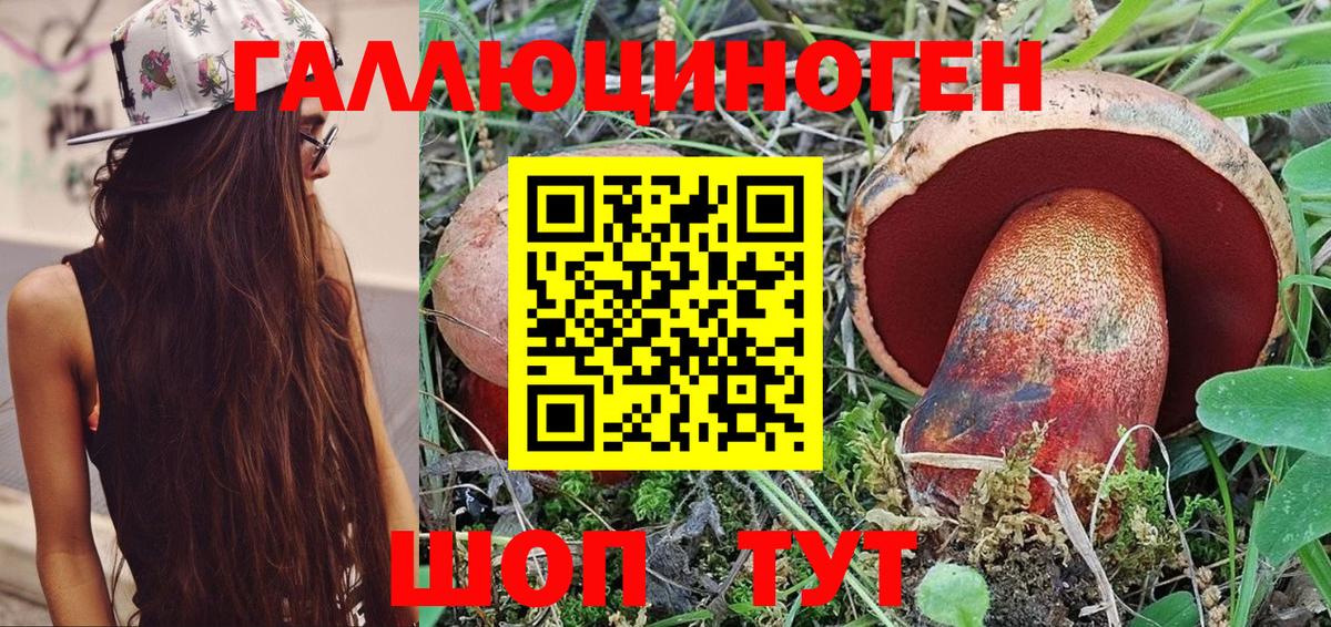 Галлюциногенные грибы ЛСД  Вход с VPN  Галлюциногенные грибы MAGIC MUSHROOMS  Хасавюрт 
